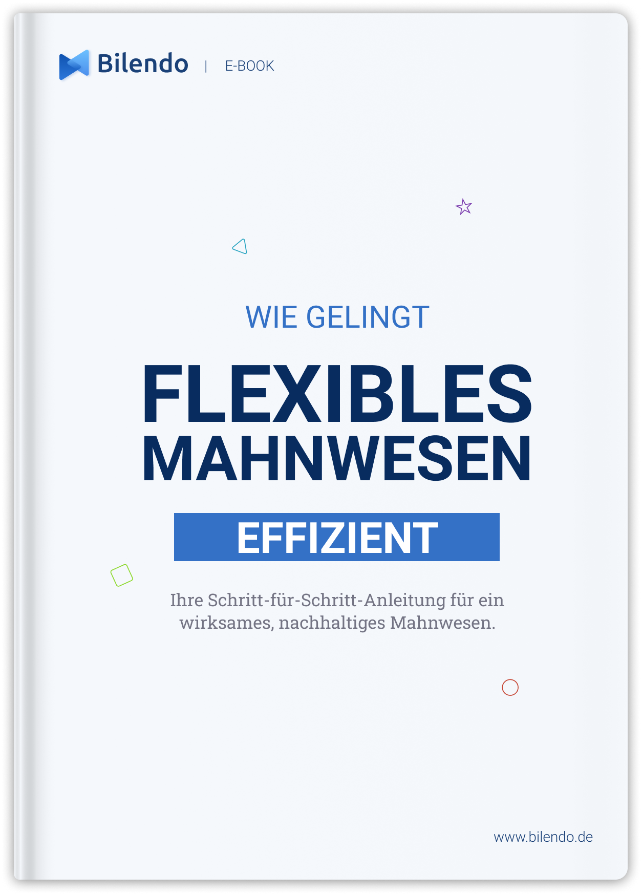 E-Book Flexibles Mahnwesen effizient