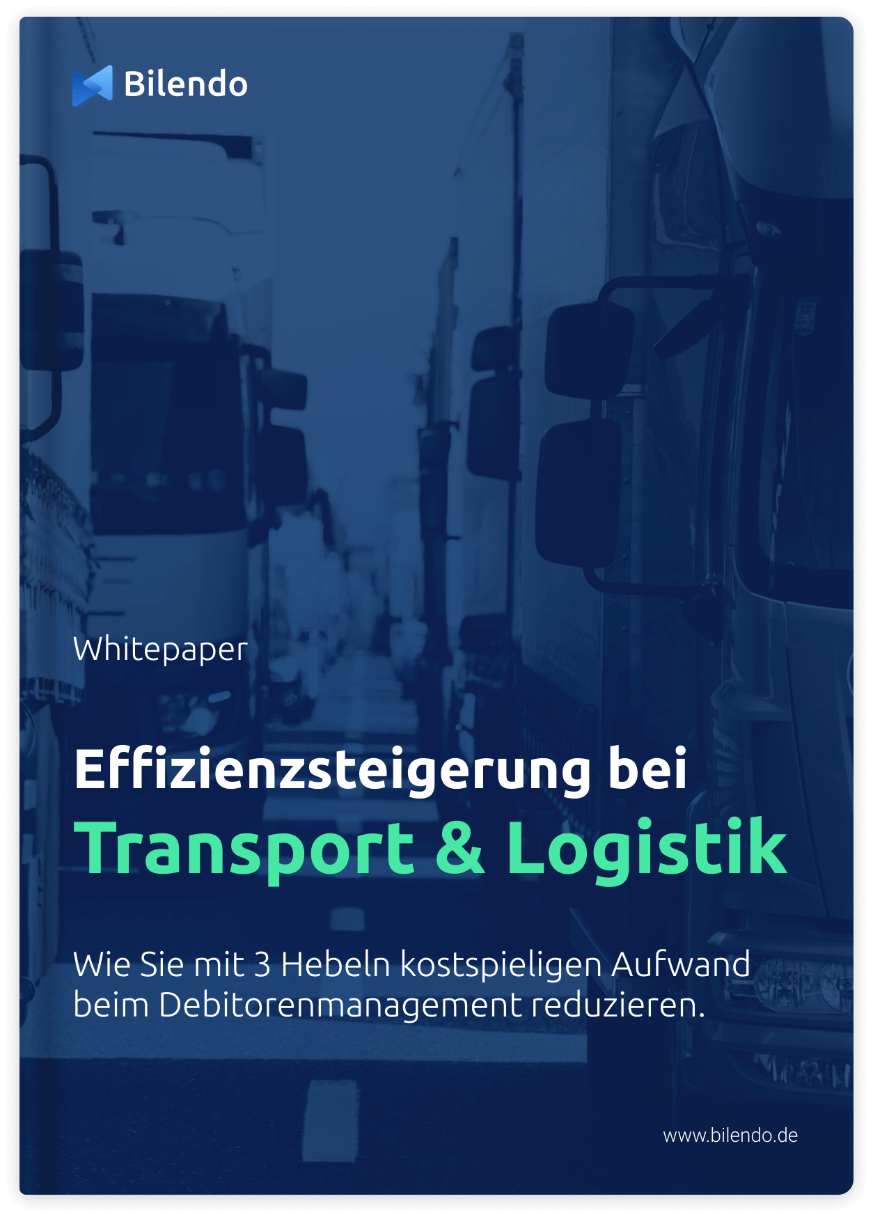 Whitepaper: Effizienzsteigerung bei Transport und Logistik