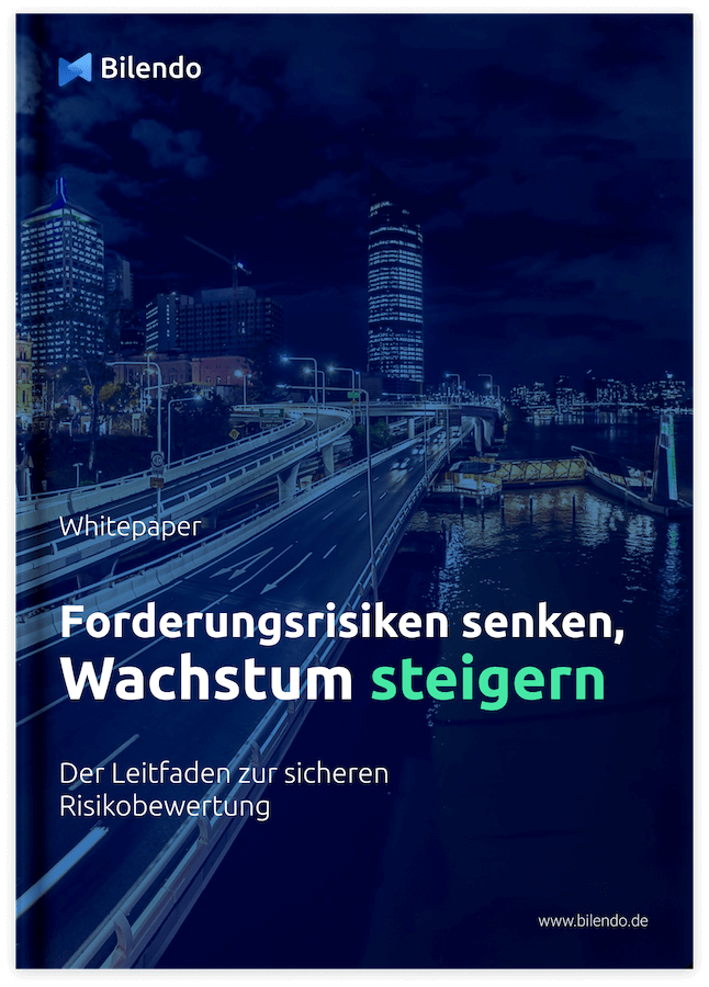 Whitepaper: Risiken Senken, Wachstum Steigern